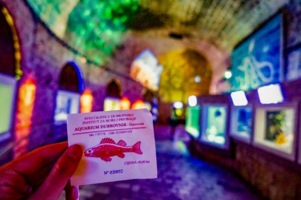 クロアチアのドブロブニクにある城壁の中の水族館のチケット